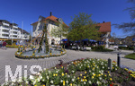 22.04.2019,  Bad Wrishofen Blumenpracht im Frhling. Ostern in der Kneippstadt Bad Wrishofen. Mit Ostereiern geschmckter Brunnen am Kurhaus.