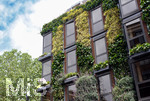 26.05.2019, London. Stadtbegrnung / Fassadenbepflanzung.