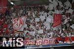 13.04.2024, Fussball 1. Bundesliga 2023/2024, 29.Spieltag, FC Bayern Mnchen - 1.FC Kln, in der Allianz-Arena Mnchen. Die Klner Fans feiern 


