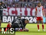 27.04.2024, Fussball 1. Bundesliga 2023/2024, 31.Spieltag, FC Bayern Mnchen - Eintracht Frankfurt, in der Allianz-Arena Mnchen. am Boden : Matthijs de Ligt (FC Bayern Mnchen) verletzt.