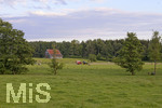 26.06.2020,  Bad Wrishofen im Unterallgu, Bauern verarbeiten das gemhte Gras auf dem Feld.
