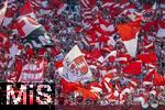 27.05.2023, Fussball 1. Bundesliga 2022/2023, 34.Spieltag, 1.FC Kln - FC Bayern Mnchen, Rhein-Energie-Stadion Kln, Fans Kln schwenken unzhlige Fahnen.


