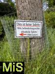 08.06.2023,  Bad Wrishofen, Unterallgu, Im Kurpark steht an einem Bau ein Hinweisschild: DIes ist keine Toilette, bitte ffentliche Toilette benutzen!