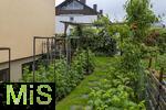 01.06.2024, Garten in Mindelheim,  Gepflegter Privat-Garten in Mindelheim, Starker Bewuchs mit Himbeerpflanzen.