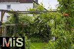 01.06.2024, Garten in Mindelheim,  Gepflegter Privat-Garten in Mindelheim, Starker Bewuchs.