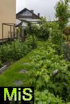 01.06.2024, Garten in Mindelheim,  Gepflegter Privat-Garten in Mindelheim, Starker Bewuchs mit Himbeerpflanzen.
