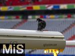 03.06.2024, Fussball Europameisterschaft 2024,  Das EM-Stadion ?Mnchen Fuball Arena?, so heisst die Allianz-Arena Mnchen whrend der EM,  Das Branding ist an den Rngen bereits angebracht, auf der elektrischen Rasensonne sitzt ein vom Regen begossener Rabe.

