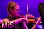 27.07.2024, Konzert in Mindelheim im Unterallgu: ?Mondlicht-Open-Air? mit dem Orchester Frisch Gestrichen unter der Leitung von Nils Schad, an der Schwabenwiese Mindelheim. 