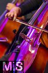 27.07.2024, Konzert in Mindelheim im Unterallgu: ?Mondlicht-Open-Air? mit dem Orchester Frisch Gestrichen unter der Leitung von Nils Schad, an der Schwabenwiese Mindelheim. 