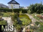 29.07.2024, Garten in Mindelheim,  Gepflegter Privat-Garten in Mindelheim, Gartenteich mit Bewuchs. 