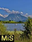 31.07.2023, Hopfensee in Bayern, Der Hopfensee bei Fssen im Allgu,  Um den Gipfel des Suling wabern noch tiefe Wolken. Auf dem See ein Tretboot in Schwanenform.