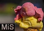 07.08.2024, Eistte mit Mango- und Himbeer-Eis aus einer Bad Wrishofener Eisdiele.  Eine Wespe ist im Anflug