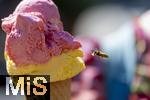 07.08.2024, Eistte mit Mango- und Himbeer-Eis aus einer Bad Wrishofener Eisdiele.  Eine Wespe ist im Anflug.
