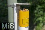 07.08.2024,  Bad Wrishofen im Unterallgu.  ffentlicher Aschenbecher an einer Strassenlaterne ist voller gerauchter Kippen.