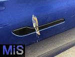 02.04.2025, Ein Tesla-Trgriff hat es getroffen, Vogelkot genau auf dem versenkten Trgriff eines blauen Tesla Model 3 Elektroauto.