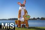 05.04.2025,  Osterfest in Bad Wrishofen im Unterallgu. Ein Lebensgroe Osterhase freut sich ber das kommende Osterfest, an seinem Leiterwagen prsentiert er bunte Ostereier in seinem Krbchen. In dem Osterhschen-Gewand steckt der Trkheimer Gerhard Mller. 