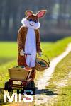 05.04.2025,  Osterfest in Bad Wrishofen im Unterallgu. Ein Lebensgroer Osterhase freut sich ber das kommende Osterfest, in seinem Krbchen und seinem Leiterwagen hat er bunte Ostereier . In dem Osterhschen-Gewand steckt der Trkheimer Gerhard Mller.  