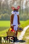 05.04.2025,  Osterfest in Bad Wrishofen im Unterallgu. Ein Lebensgroer Osterhase freut sich ber das kommende Osterfest, in seinem Krbchen und seinem Leiterwagen hat er bunte Ostereier . In dem Osterhschen-Gewand steckt der Trkheimer Gerhard Mller.   (Bildbearbeitung)