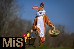 05.04.2025,  Osterfest in Bad Wrishofen im Unterallgu. Ein Lebensgroer Osterhase freut sich ber das kommende Osterfest, in seinem Krbchen und seinem Leiterwagen hat er bunte Ostereier. In dem Osterhschen-Gewand steckt der Trkheimer Gerhard Mller.   (Bildbearbeitung)
