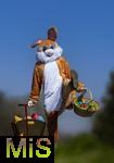 05.04.2025,  Osterfest in Bad Wrishofen im Unterallgu. Ein Lebensgroer Osterhase freut sich ber das kommende Osterfest, in seinem Krbchen und seinem Leiterwagen hat er bunte Ostereier . In dem Osterhschen-Gewand steckt der Trkheimer Gerhard Mller.   (Bildbearbeitung)
