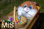 05.04.2025,  Osterfest in Bad Wrishofen im Unterallgu. Ein Osterhasenkopf im Leiterwagen mit bunten Ostereier in einem Krbchen. 