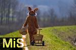 05.04.2025,  Osterfest in Bad Wrishofen im Unterallgu. Ein Lebensgroer Osterhase luft ber die Wiese, in seinem Krbchen hat er bunte Ostereier. Der Leiterwagen ist schon leer, alles fertig verteilt, nun geht er nach Hause. In dem Osterhschen-Gewand steckt der Trkheimer Gerhard Mller.  
