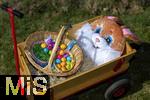 05.04.2025,  Osterfest in Bad Wrishofen im Unterallgu. Ein Osterhasenkopf im Leiterwagen mit bunten Ostereier in einem Krbchen. 