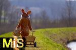 05.04.2025,  Osterfest in Bad Wrishofen im Unterallgu. Ein Lebensgroer Osterhase luft ber die Wiese, in seinem Krbchen hat er bunte Ostereier. Der Leiterwagen ist schon leer, alles fertig verteilt, nun geht er nach Hause. In dem Osterhschen-Gewand steckt der Trkheimer Gerhard Mller.  