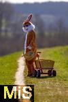 05.04.2025,  Osterfest in Bad Wrishofen im Unterallgu. Ein Lebensgroer Osterhase luft ber die Wiese, in seinem Krbchen hat er bunte Ostereier. Der Leiterwagen ist schon leer, alles fertig verteilt, nun geht er nach Hause. In dem Osterhschen-Gewand steckt der Trkheimer Gerhard Mller.  