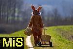 05.04.2025,  Osterfest in Bad Wrishofen im Unterallgu. Ein Lebensgroer Osterhase luft ber die Wiese, in seinem Krbchen hat er bunte Ostereier. Der Leiterwagen ist schon leer, alles fertig verteilt, nun geht er nach Hause. In dem Osterhschen-Gewand steckt der Trkheimer Gerhard Mller.  