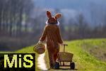 05.04.2025,  Osterfest in Bad Wrishofen im Unterallgu. Ein Lebensgroer Osterhase luft ber die Wiese, in seinem Krbchen hat er bunte Ostereier. Der Leiterwagen ist schon leer, alles fertig verteilt, nun geht er nach Hause. In dem Osterhschen-Gewand steckt der Trkheimer Gerhard Mller.  
