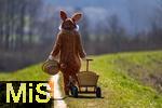 05.04.2025,  Osterfest in Bad Wrishofen im Unterallgu. Ein Lebensgroer Osterhase luft ber die Wiese, in seinem Krbchen hat er bunte Ostereier. Der Leiterwagen ist schon leer, alles fertig verteilt, nun geht er nach Hause. In dem Osterhschen-Gewand steckt der Trkheimer Gerhard Mller.  