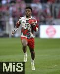 12.04.2025, Fussball 1. Bundesliga 2024/2025, 29. Spieltag,  FC Bayern Mnchen - Borussia Dortmund, in der Allianz-Arena Mnchen. Kingsley Coman (FC Bayern Mnchen) beim Aufwrmen

