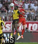 12.04.2025, Fussball 1. Bundesliga 2024/2025, 29. Spieltag,  FC Bayern Mnchen - Borussia Dortmund, in der Allianz-Arena Mnchen. v.l. Serhou Yadaly Guirassy (Borussia Dortmund) gegen Min-jae Kim (Bayern Mnchen, Minjae Kim) 

