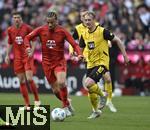 12.04.2025, Fussball 1. Bundesliga 2024/2025, 29. Spieltag,  FC Bayern Mnchen - Borussia Dortmund, in der Allianz-Arena Mnchen. v.l. Leroy Sane (Bayern Mnchen) gegen Julian Brandt (Borussia Dortmund) 

