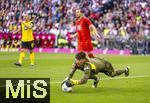 12.04.2025, Fussball 1. Bundesliga 2024/2025, 29. Spieltag,  FC Bayern Mnchen - Borussia Dortmund, in der Allianz-Arena Mnchen. Torwart Gregor Kobel (Borussia Dortmund) hat den Ball sicher gefangen