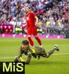 12.04.2025, Fussball 1. Bundesliga 2024/2025, 29. Spieltag,  FC Bayern Mnchen - Borussia Dortmund, in der Allianz-Arena Mnchen. Torwart Gregor Kobel (Borussia Dortmund) hat den Ball sicher gefangen