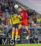 12.04.2025, Fussball 1. Bundesliga 2024/2025, 29. Spieltag,  FC Bayern Mnchen - Borussia Dortmund, in der Allianz-Arena Mnchen. v.li: Pascal Gro (Borussia Dortmund) gegen Konrad Laimer (FC Bayern Mnchen) 