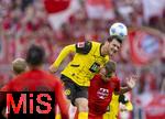 12.04.2025, Fussball 1. Bundesliga 2024/2025, 29. Spieltag,  FC Bayern Mnchen - Borussia Dortmund, in der Allianz-Arena Mnchen.  v.li: Pascal Gro (Borussia Dortmund) gegen Joshua Kimmich (FC Bayern Mnchen) 