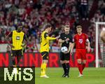 12.04.2025, Fussball 1. Bundesliga 2024/2025, 29. Spieltag,  FC Bayern Mnchen - Borussia Dortmund, in der Allianz-Arena Mnchen.  Schiedsrichter Tobias Welz macht einen Schiedsrichterball li: Pascal Gro (Borussia Dortmund), re: Joshua Kimmich (FC Bayern Mnchen) 