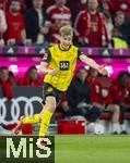 12.04.2025, Fussball 1. Bundesliga 2024/2025, 29. Spieltag,  FC Bayern Mnchen - Borussia Dortmund, in der Allianz-Arena Mnchen.  Daniel Svensson (Borussia Dortmund) 