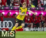 12.04.2025, Fussball 1. Bundesliga 2024/2025, 29. Spieltag,  FC Bayern Mnchen - Borussia Dortmund, in der Allianz-Arena Mnchen.  Daniel Svensson (Borussia Dortmund) 
