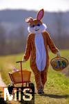 15.04.2025,  Osterfest in Bad Wrishofen im Unterallgu. Ein Lebensgroe Osterhase freut sich ber das kommende Osterfest, an seinem Leiterwagen prsentiert er bunte Ostereier in seinem Krbchen. In dem Osterhschen-Gewand steckt der Trkheimer Gerhard Mller.  (Bildbearbeitung)