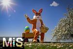 19.04.2025,  Osterfest in Bad Wrishofen im Unterallgu. Ein Lebensgroer Osterhase freut sich ber das kommende Osterfest, an seinem Leiterwagen prsentiert er bunte Ostereier in seinem Krbchen. In dem Osterhschen-Kostm steckt der Trkheimer Gerhard Mller.  (Bildbearbeitung, Montage)