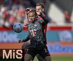 19.04.2025, Fussball 1. Bundesliga 2024/2025, 30. Spieltag, 1.FC Heidenheim - FC Bayern Mnchen, in der Voith-Arena Heidenheim. v.l. Leroy Sane (Bayern Mnchen) gegen Patrick Mainka (1.FC Heidenheim) 

