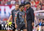 19.04.2025, Fussball 1. Bundesliga 2024/2025, 30. Spieltag, 1.FC Heidenheim - FC Bayern Mnchen, in der Voith-Arena Heidenheim.  Harry Kane (FC Bayern Mnchen), Trainer Vincent Kompany (FC Bayern Mnchen), Kingsley Coman (FC Bayern Mnchen), 