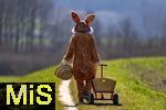 21.04.2025,  Osterfest in Bad Wrishofen im Unterallgu. Ein Lebensgroer Osterhase luft ber die Wiese, Der Leiterwagen ist schon leer, alles fertig verteilt, nun geht er nach Hause. Ostern ist wieder vorbei fr dieses Jahr In dem Osterhschen-Gewand steckt der Trkheimer Gerhard Mller.  