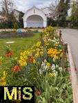21.04.2025,  Osterfest, Tulpentage mit OSTERBRUNNENFEST in Bad Wrishofen im Allgu, Viele wunderschn verzierte Osterbrunnen und bunte bepflanze Tulpenbeete knnen die Gste rund um Ostern 2025 in der Kneipp-Kurstadt bewundern. Hier am Kurhaus mit bunten Ostereier in den nestern.
 