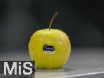 19.04.2025, Ein Apfel aus Italien (Sdtirol) der Firma Melinda, ein Golden Deliciuos