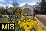 21.04.2025,  Tulpentage mit OSTERBRUNNENFEST in Bad Wrishofen im Allgu, Viele wunderschn verzierte Osterbrunnen und bunte bepflanzte Tulpenbeete knnen die Gste jetzt im Frhling in der Kneipp-Kurstadt bewundern. Hier am Kurhaus mit Narzissen 
 